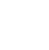 ISO 13485