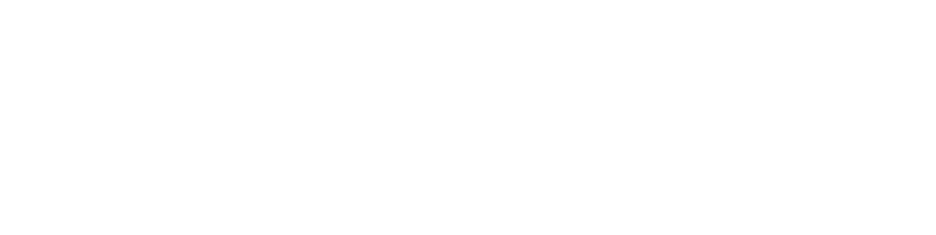Vita Needle