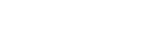 Vita Needle